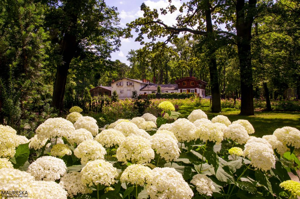 Park Miejski w Grudziądzu