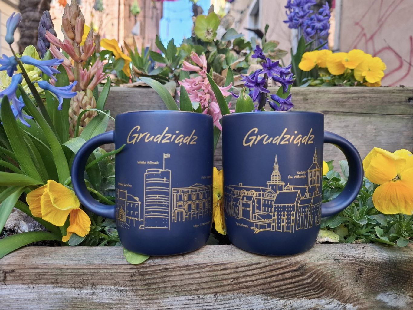 kubek bella grudziądz